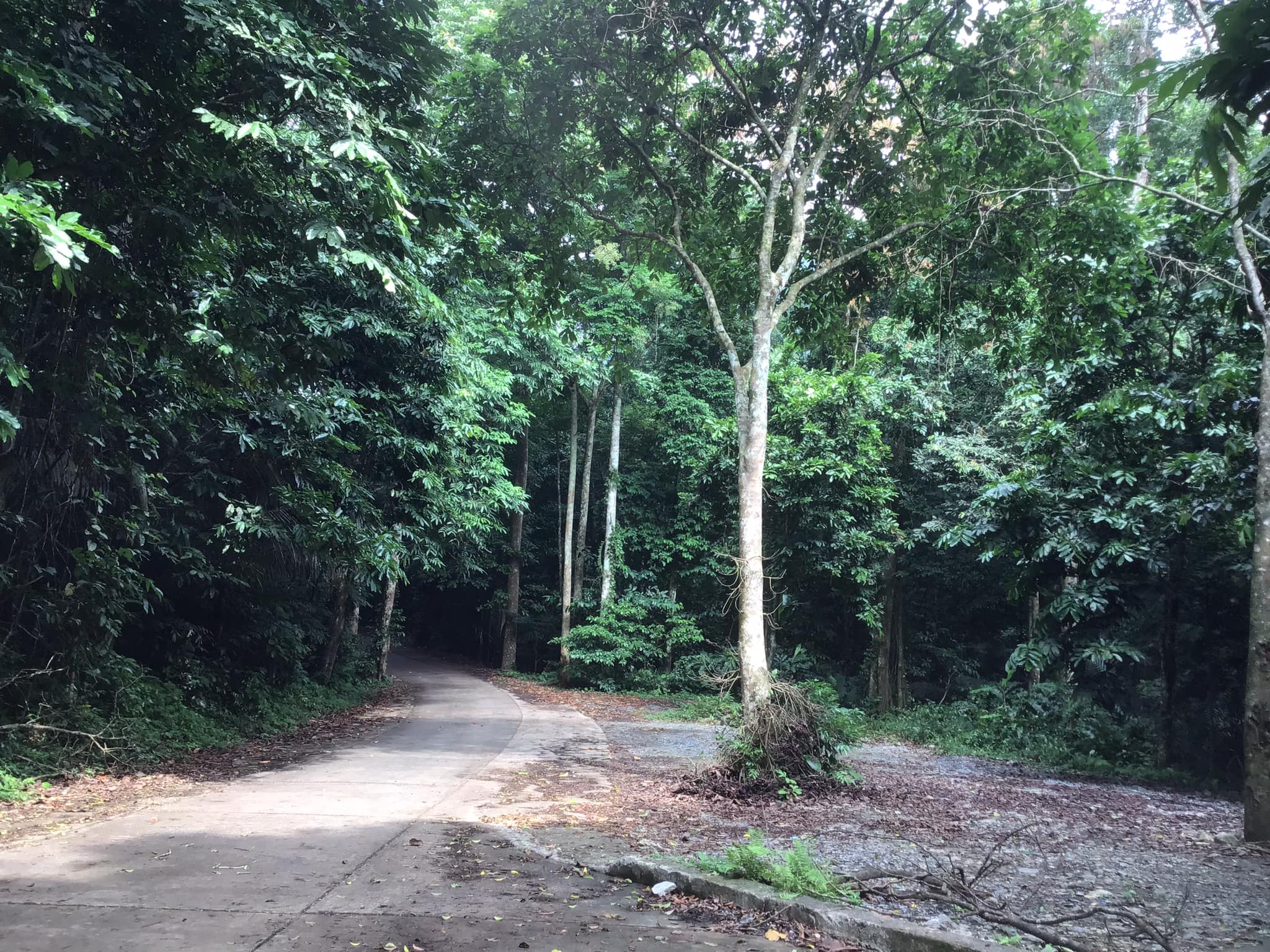 Phong Nha cycling with Dark Cave 1 Day